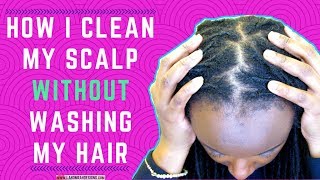 How To Get A Clean Scalp Without Washing Your Hair [upl. by Sivla191]