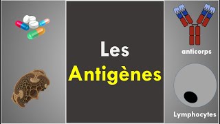 Les Antigènes [upl. by Siurtemed]