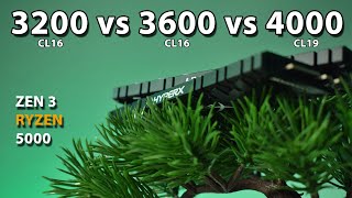 3200 vs 3600 vs 4000MHz RAM Ryzen 5 5600X Zen 3 Ryzen 5000 [upl. by Leena]