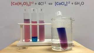 Le Chateliers Principle Lab with Cobalt Complex Ions [upl. by Melvyn]