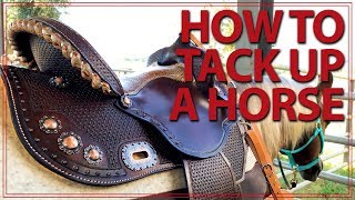 How to Saddle a Horse Western Style  Jeffers Equine [upl. by Nary]