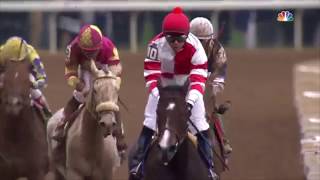 Songbird Compilation of Wins [upl. by Jo]