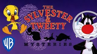 Looney Tunes SINGALONG  The Sylvester amp Tweety Mysteries Theme Song  WB Kids [upl. by Dorcy]