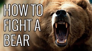 How To Fight A Bear  EPIC HOW TO [upl. by Dlanigger]