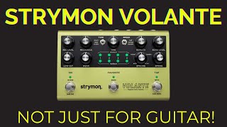 The Strymon Volante  Why You Need It [upl. by Yecrad]