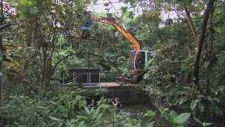 Verhuizing zeekoe naar Parijs  Burgers Zoo Natuurlijk  Arnhem [upl. by Eniretak]