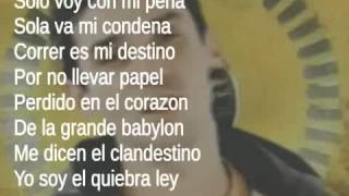 Manu Chao  Clandestino Lyrics [upl. by Nitram962]