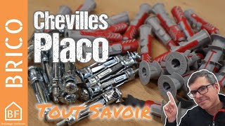 Tout ce que vous devez savoir sur les Chevilles Placo pour une fixation solide [upl. by Alexandr38]