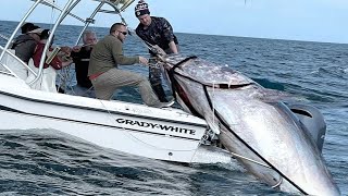 Amazing Fastest Giant Bluefin Tuna Fishing Skill  Most Satisfying Sea Fishing Video [upl. by Lutero]