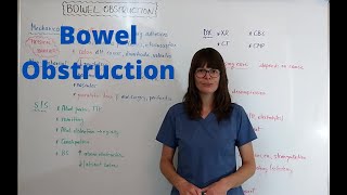 Bowel Obstruction [upl. by Kiyoshi]