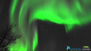 Northern Lights in Abisko Sweden [upl. by Sigvard]