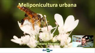 Meliponicultura urbana Introdução [upl. by Notsehc]