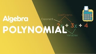 What Are Polynomials  Algebra  Maths  FuseSchool [upl. by Axe505]