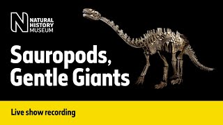 Sauropods Gentle Giants  Live Talk with NHM Scientist [upl. by Aihgn46]