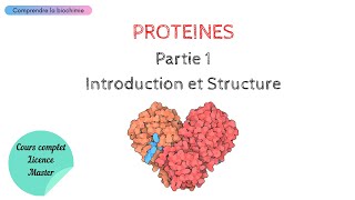 PROTÉINES  INTRODUCTION ET STRUCTURE  Biochimie Facile [upl. by Anomis]