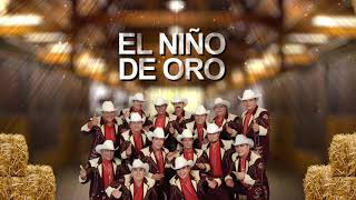 Grupo Laberinto  El Niño de Oro Letra Oficial [upl. by Adiasteb]