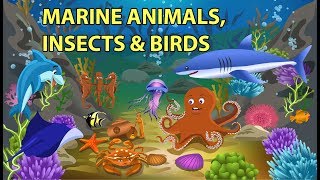 Sea Animals Insects and Birds Names and Sounds [upl. by Shwalb]