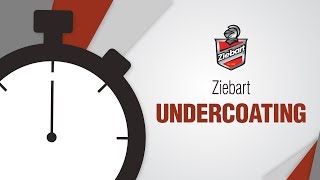 Ziebart Undercoating in 24 Seconds [upl. by Maxima299]