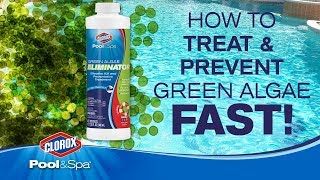 Treating and preventing Green Algae Clorox® PoolampSpa™ [upl. by Oneill533]