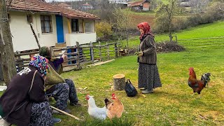 Köy Hayatı Günlük Rutin Köy İşleri  Türkiye Köyünde Yaşam Köy Belgeseli [upl. by Asoj514]