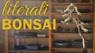 Bonsai Styling Timelapse Literati Bonsai Bunjin Bonsai [upl. by Nrol]