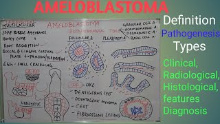 Ameloblastoma  Definition pathogenesis types clinical radiological features and diagnosis [upl. by Rotow79]