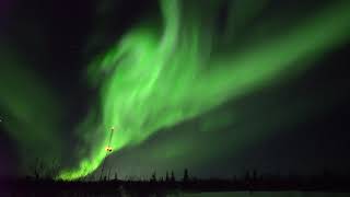 4k Live Aurora Borealis  Realtime Northern Lights  FAIRBANKS ALASKA [upl. by Woolson]