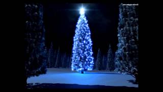 Chanson de NOEL 1 Allemagne [upl. by Guyon]