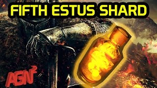 Dark Souls 3  Fifth Estus Shard Location Farron Keep Bonfire [upl. by Otineb]