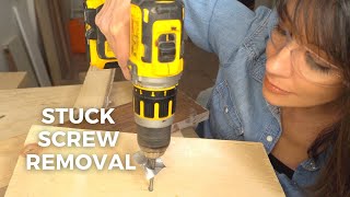 Stuck Screw Removal  5 BEST Ways to Remove Stripped Screws [upl. by Terrell]