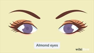 How to Determine Eye Shape [upl. by Abert901]