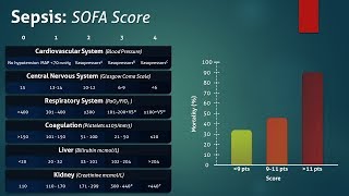 Sepsis Sequential Organ Failure Assessment SOFA Score [upl. by Boggs]