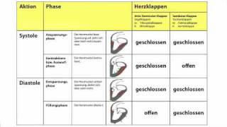 Herzaktionen  Systole und Diastole in der Heilpraktikerausbildung [upl. by Chor]