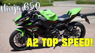 2021 KAWASAKI NINJA 650  TOP SPEED A2 35kW [upl. by Chappie]