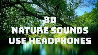 🎧 8D Nature Sounds  Relaxing Nature ASMR  USE HEADPHONES [upl. by Amelina423]