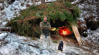 Building A Winter Survival Shelter In The Austrian Wilderness [upl. by Dopp]