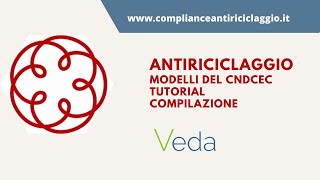 Antiriciclaggio tutorial compilazione dei modelli del CNDCEC [upl. by Ennairrek923]