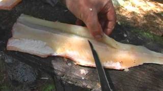 How to Fillet a Northern Pike [upl. by Daphene]