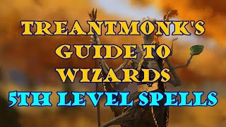 Treantmonks Guide to Wizards 5th level spells [upl. by Woodring938]