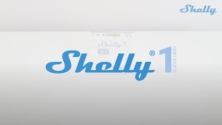 Shelly How to  Shelly 1 [upl. by Ynohtnaluap]