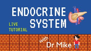 Live Tutorial Endocrine [upl. by Lora]