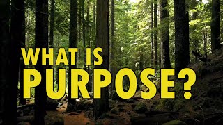 WHAT IS PURPOSE  Understanding Purpose [upl. by Madonna]