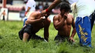 Edirne Kirkpinar 2014 Oil Wrestling [upl. by Prospero]