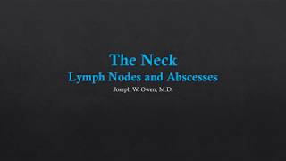 Neck US  Lymph Nodes and Abscesses [upl. by Pelligrini]