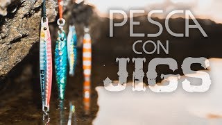 Cómo PESCAR con JIGS a SPINNING desde costa [upl. by Guinna]