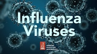 Influenza Viruses by James McSharry PhD [upl. by Akcir]