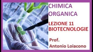 CHIMICA ORGANICA  Lezione 11  Le Biotecnologie [upl. by Oile666]