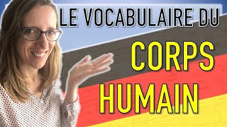 🇩🇪 Apprends le vocabulaire du CORPS HUMAIN en allemand [upl. by Assennav]