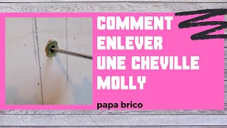 ASTUCE PLACO comment enlever une cheville molly [upl. by Nylhsa]