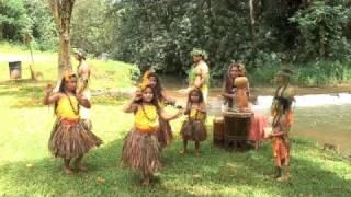 Hawaiian Hula and Chanting [upl. by Ferd]